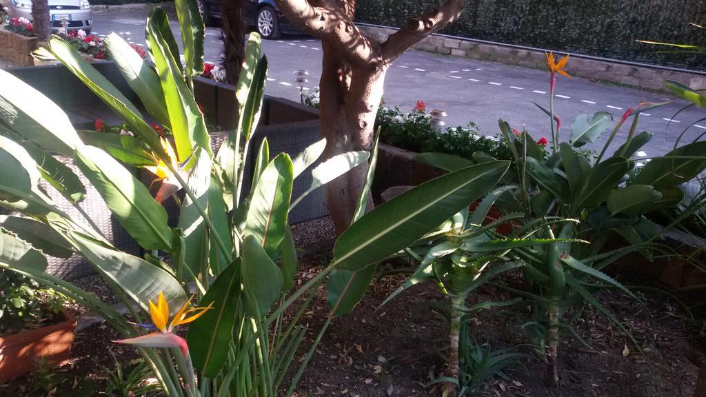 Hotel La Scogliera Bordighera Kültér fotó